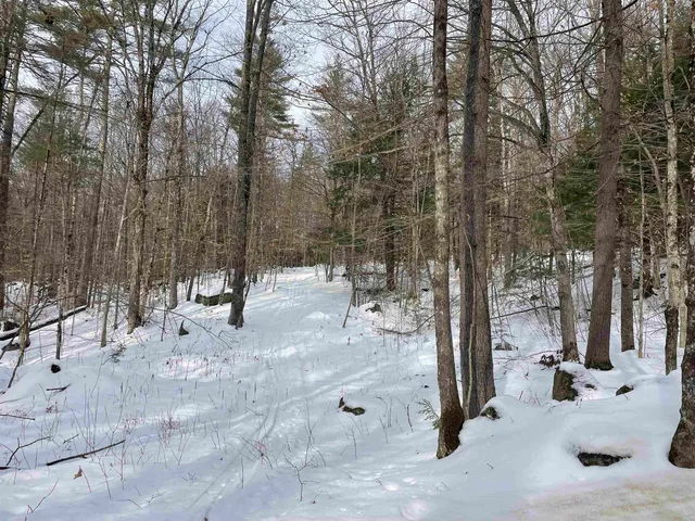 $350,000 | 332 Gleason Falls Road, Unit MAP 5 LOT 87 AND MAP 8 LOT 146, Hillsborough, NH 03244