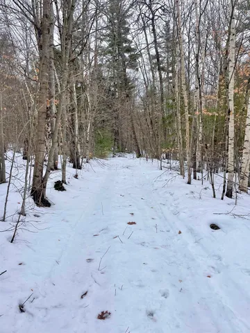 $350,000 | 332 Gleason Falls Road, Unit MAP 5 LOT 87 AND MAP 8 LOT 146, Hillsborough, NH 03244