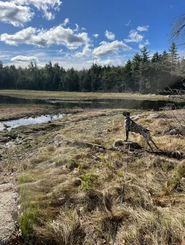 $350,000 | 332 Gleason Falls Road, Unit MAP 5 LOT 87 AND MAP 8 LOT 146, Hillsborough, NH 03244