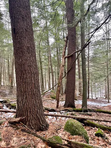 $350,000 | 332 Gleason Falls Road, Unit MAP 5 LOT 87 AND MAP 8 LOT 146, Hillsborough, NH 03244