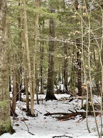 $350,000 | 332 Gleason Falls Road, Unit MAP 5 LOT 87 AND MAP 8 LOT 146, Hillsborough, NH 03244