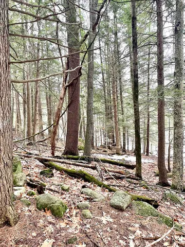 $350,000 | 332 Gleason Falls Road, Unit MAP 5 LOT 87 AND MAP 8 LOT 146, Hillsborough, NH 03244