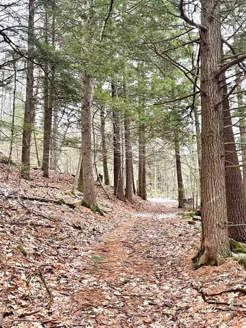 $350,000 | 332 Gleason Falls Road, Unit MAP 5 LOT 87 AND MAP 8 LOT 146, Hillsborough, NH 03244