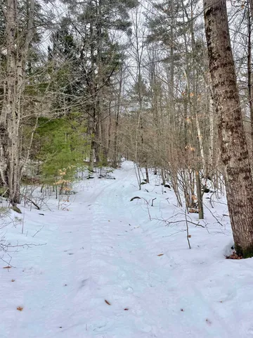 $350,000 | 332 Gleason Falls Road, Unit MAP 5 LOT 87 AND MAP 8 LOT 146, Hillsborough, NH 03244
