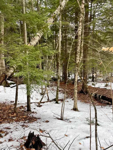 $350,000 | 332 Gleason Falls Road, Unit MAP 5 LOT 87 AND MAP 8 LOT 146, Hillsborough, NH 03244