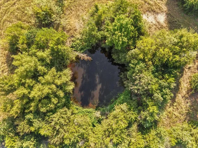 a view of a plants with small yard