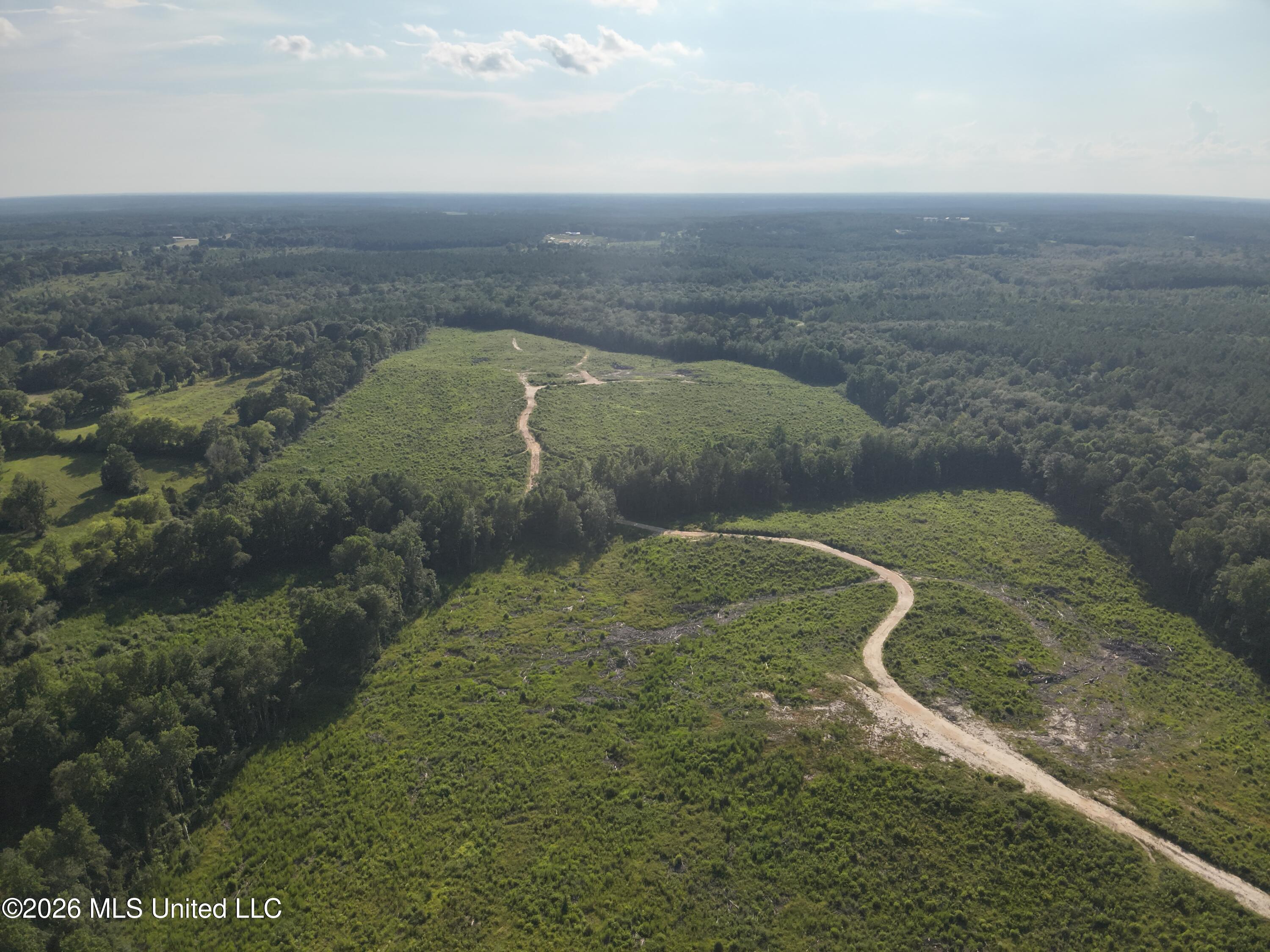 Oscar Bell Road Waynesboro, MS 39367 - Photo 9 of 23 DJI_20260710173747_0013_V