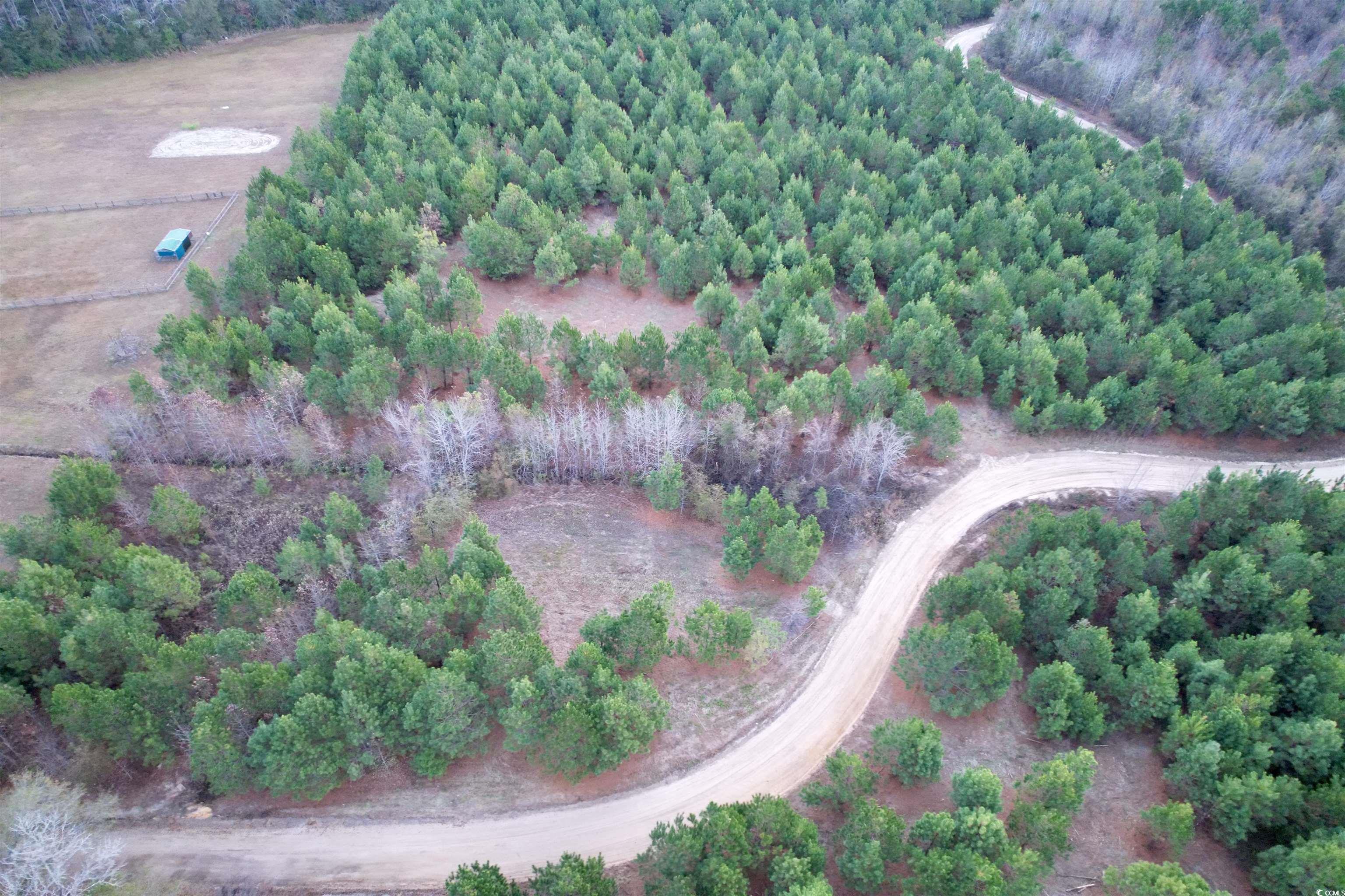 Lot 2-tbd Lot 2-tbd New Pine Road Johnsonville, SC 29555 - Photo 2 of 9