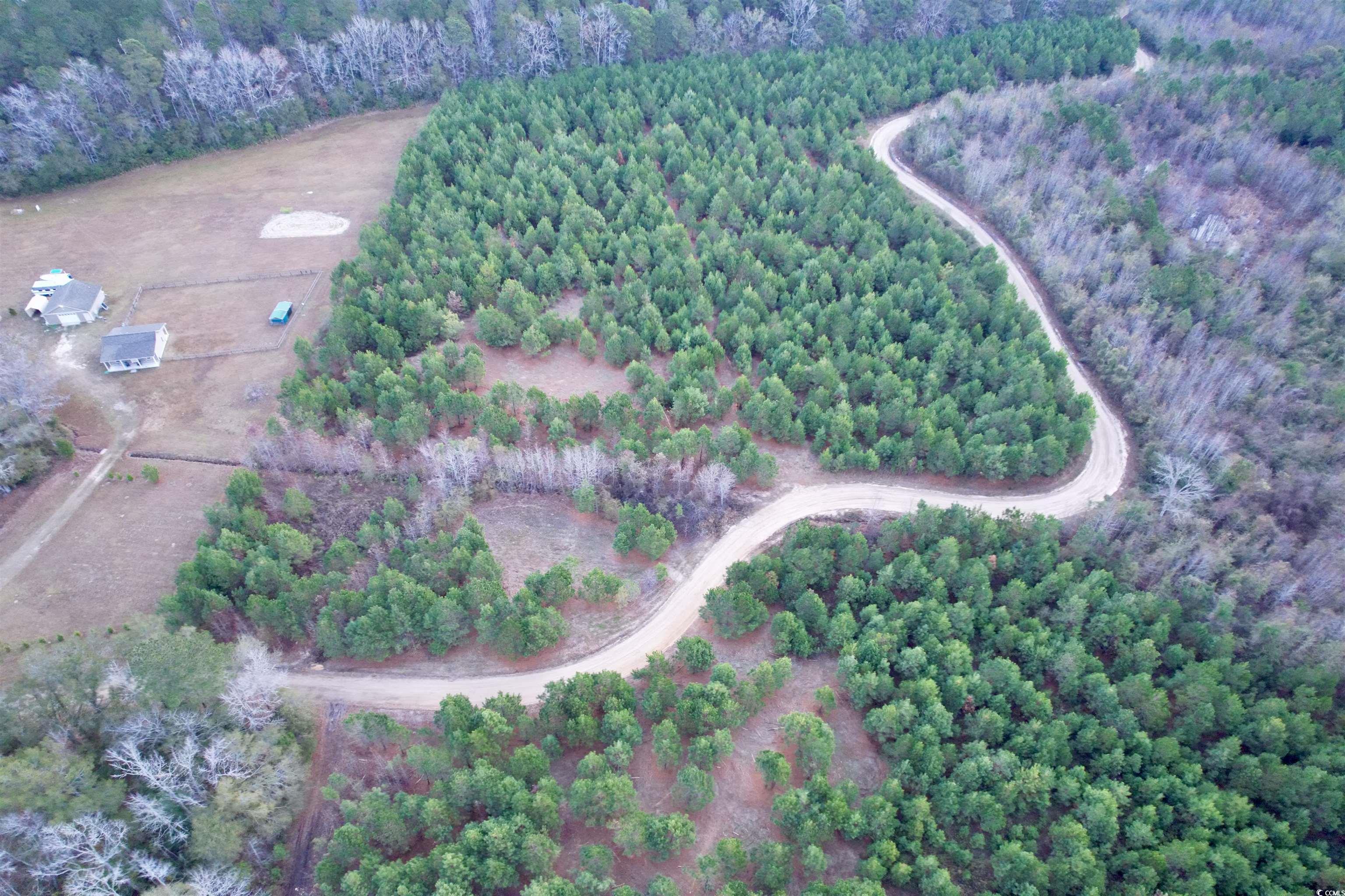 Lot 2-tbd Lot 2-tbd New Pine Road Johnsonville, SC 29555 - Photo 3 of 9