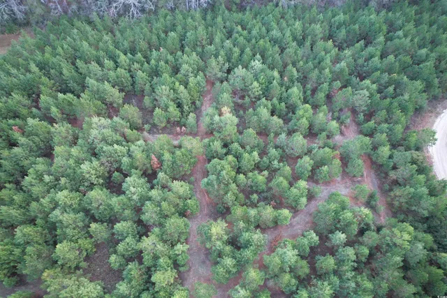 $65,000 | Lot 2-tbd Lot 2-tbd New Pine Road, Johnsonville, SC 29555