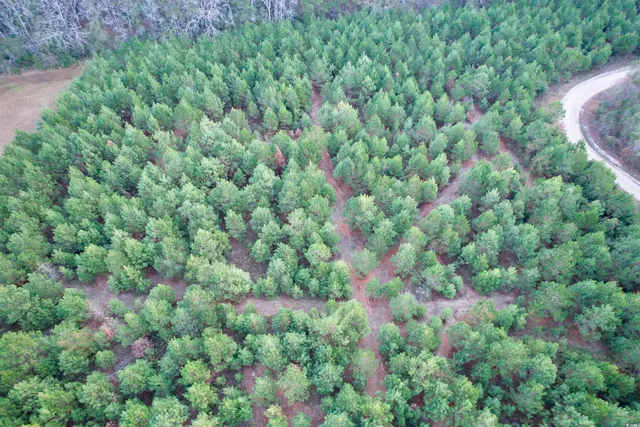 $65,000 | Lot 2-tbd Lot 2-tbd New Pine Road, Johnsonville, SC 29555