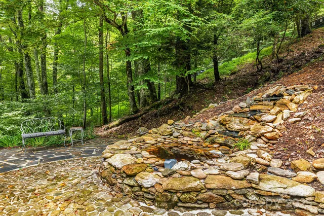 a view of a forest with trees