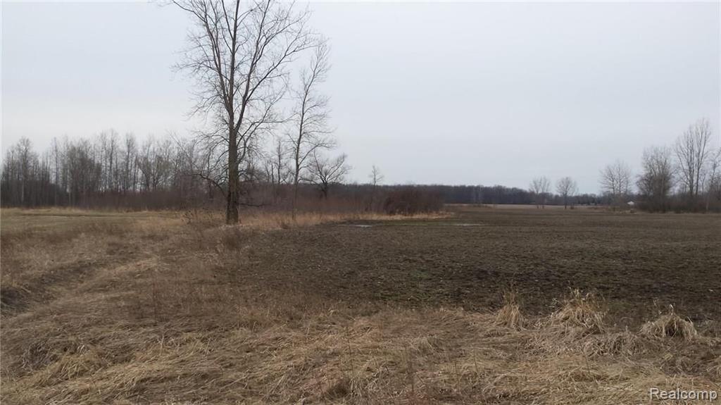0 Fisher Road Fruitport, MI 49415 - Photo 1 of 11