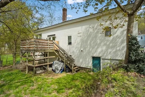 a view of a backyard with plants and a large tree