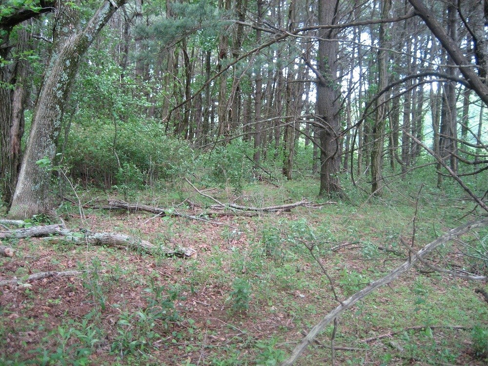 Tbd Slatemont Road Southwest Meadows Of Dan, VA 24120 - Photo 3 of 4 Gallery Image 3