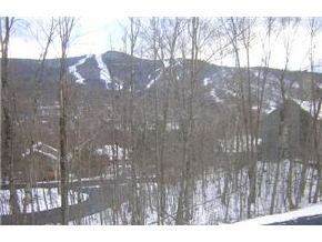 19-1 Birch Road, Unit 191 Lincoln, NH 03251 - Photo 2 of 7 Gallery Image 2