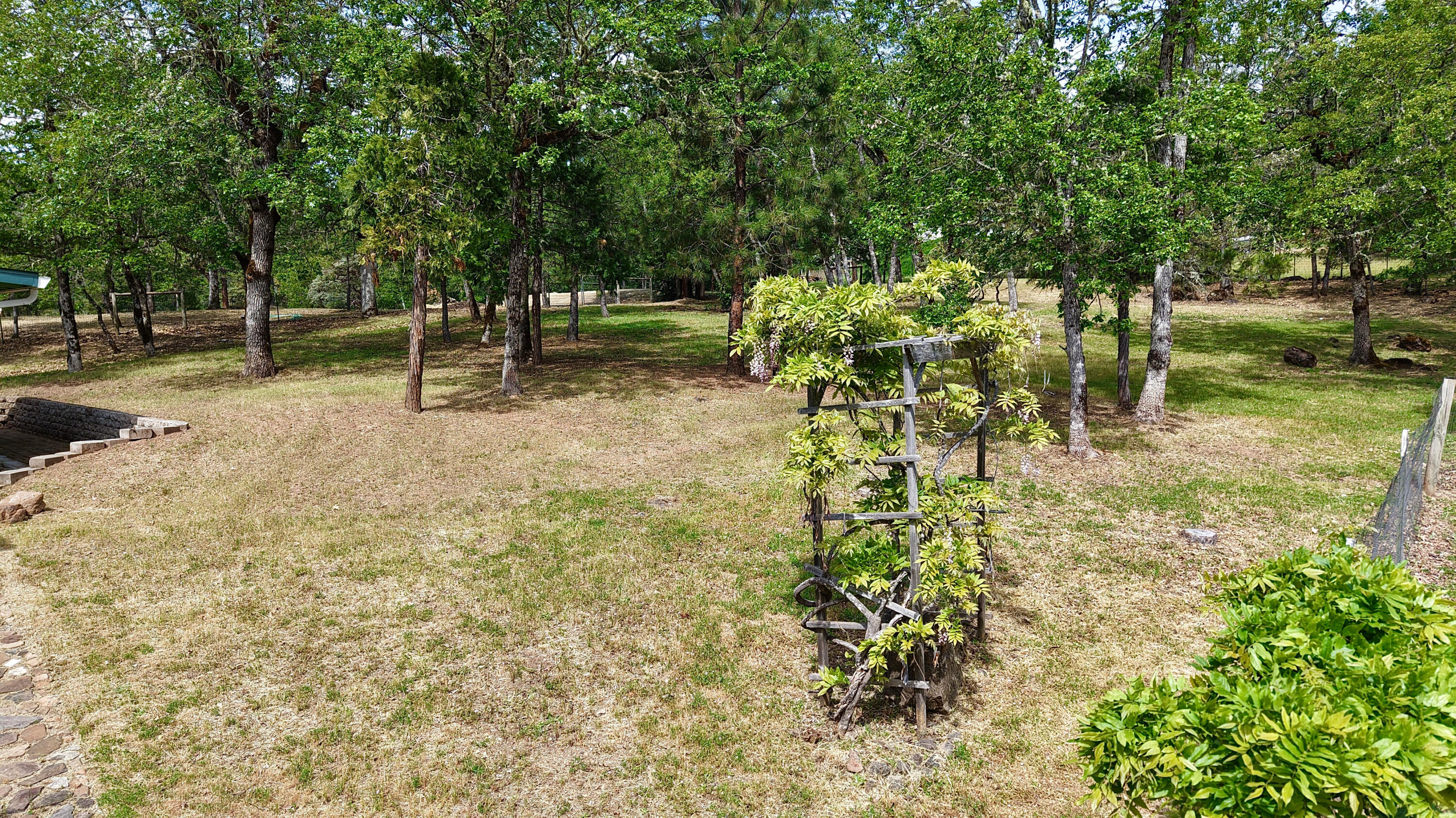 204 Shipley Terrace Prospect, OR 97536 - Photo 59 of 61 a view of outdoor space with a garden