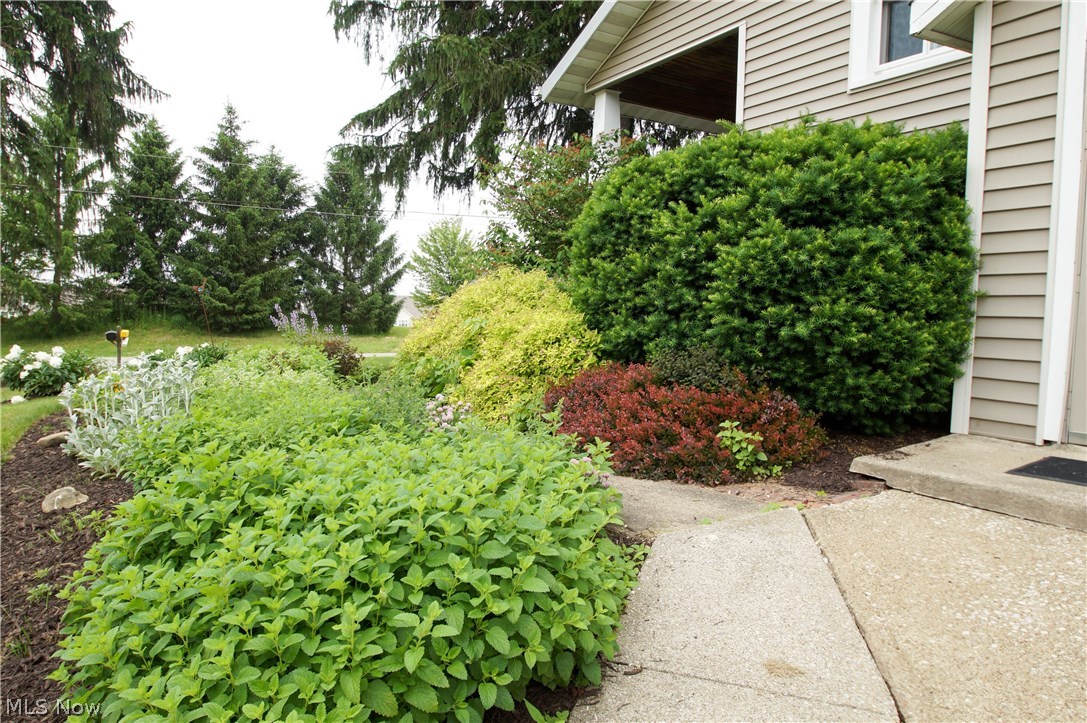 4044 Poe Road Medina, OH 44256 - Photo 4 of 33 Gallery Image 4