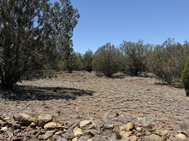 356 A Sierra Verde Ranch Seligman, AZ 86337 - Photo 3 of 8 a view of a yard