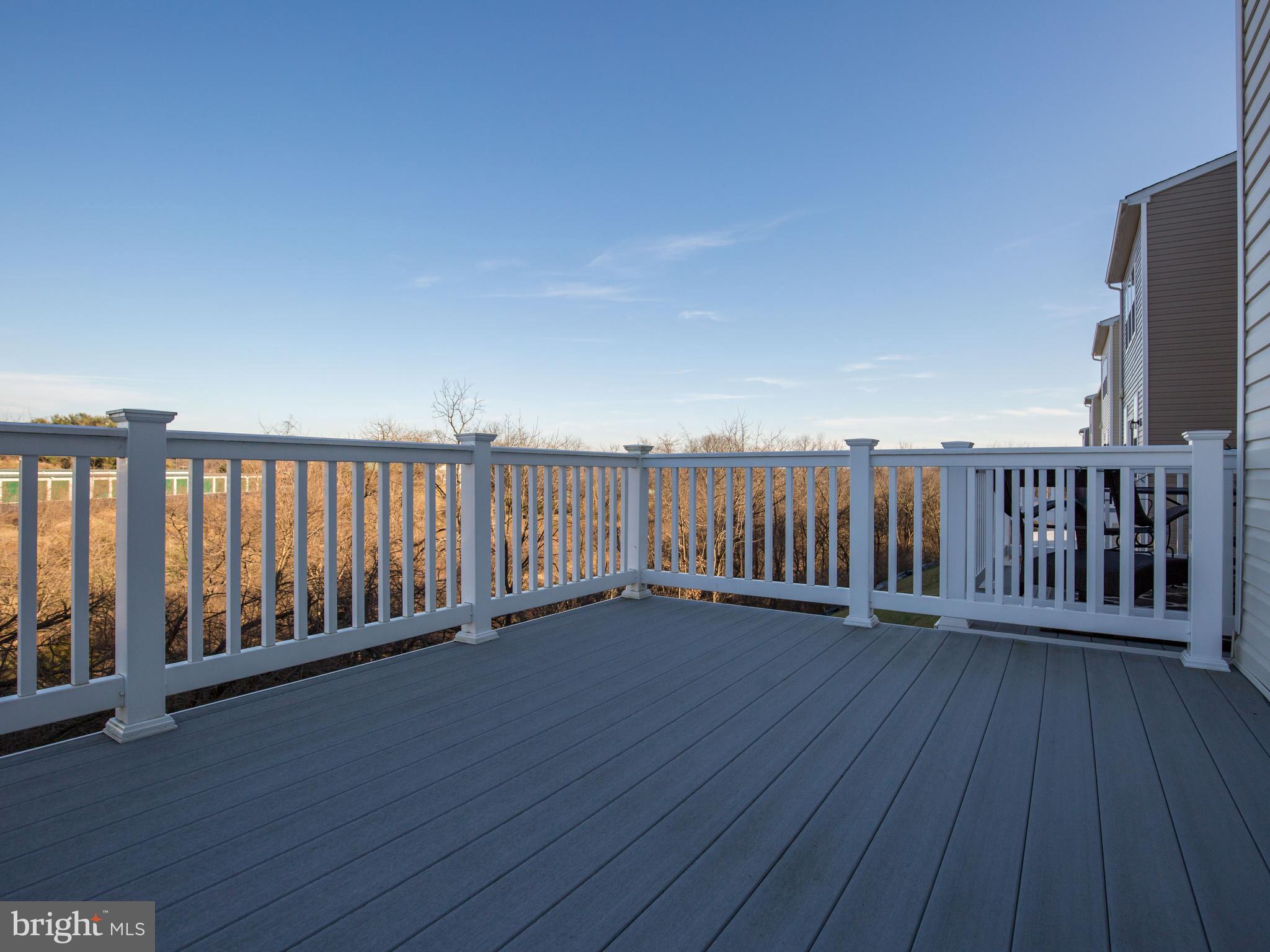 157 Schramm Loop Stephens City, VA 22655 - Photo 34 of 37 Large 14x10 maintenance free deck