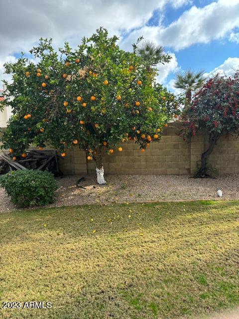 4739 East Redfield Road Phoenix, AZ 85032 - Photo 21 of 24 IMG_8107