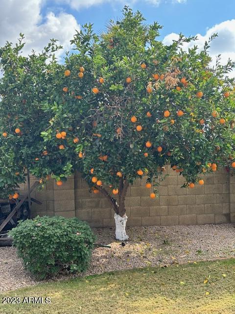 4739 East Redfield Road Phoenix, AZ 85032 - Photo 22 of 24 IMG_8106