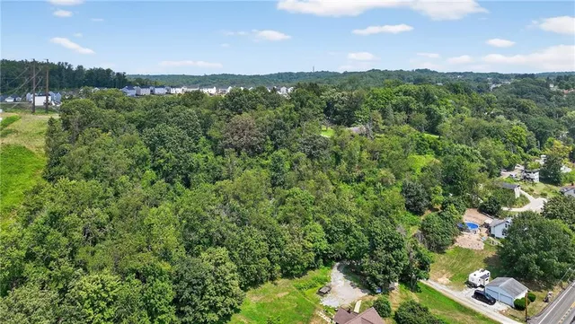 a view of a city with lush green forest