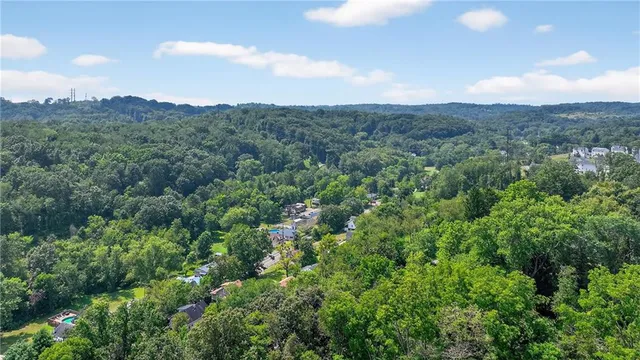 an aerial view of houses covered in trees