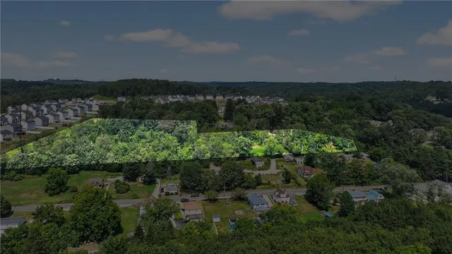 a view of a lake in middle of forest
