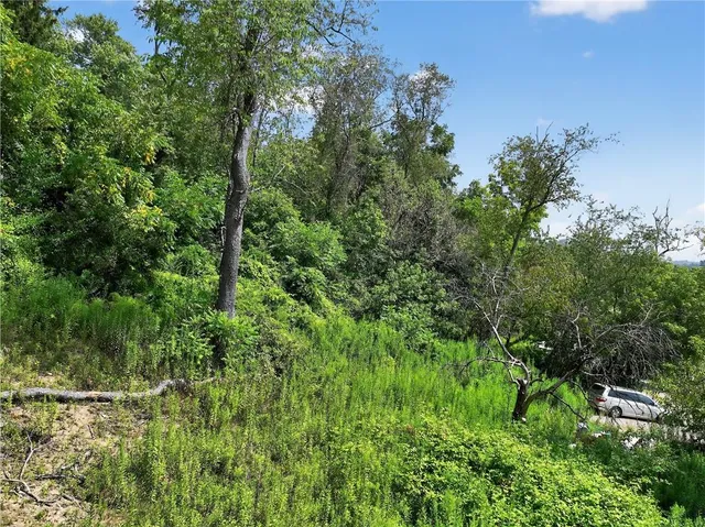 a view of a lush green space