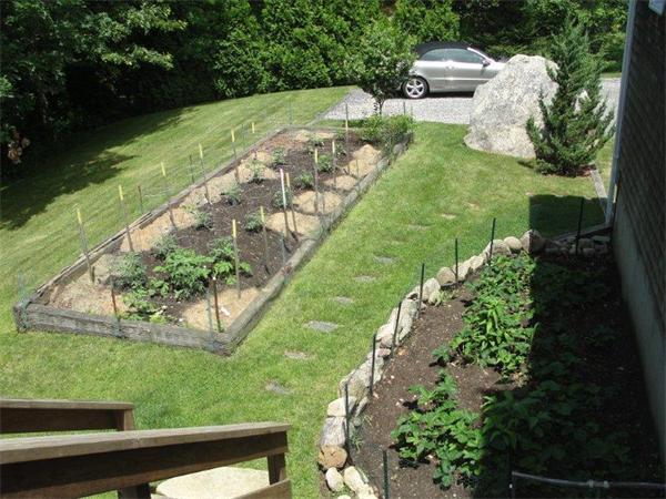 1135 Service Road Barnstable, MA 02668 - Photo 3 of 15 a view of yard with green space