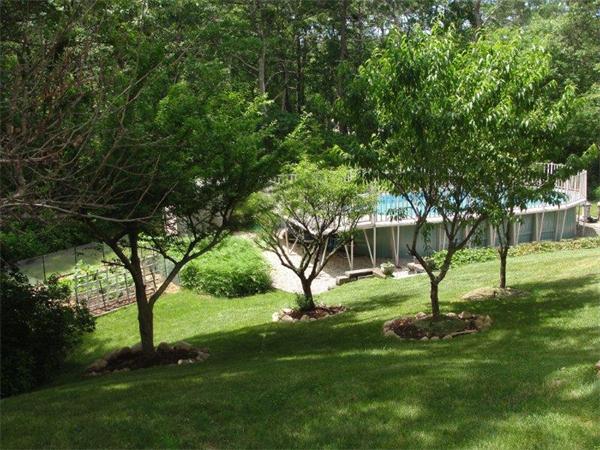 1135 Service Road Barnstable, MA 02668 - Photo 4 of 15 a view of a backyard with a tree