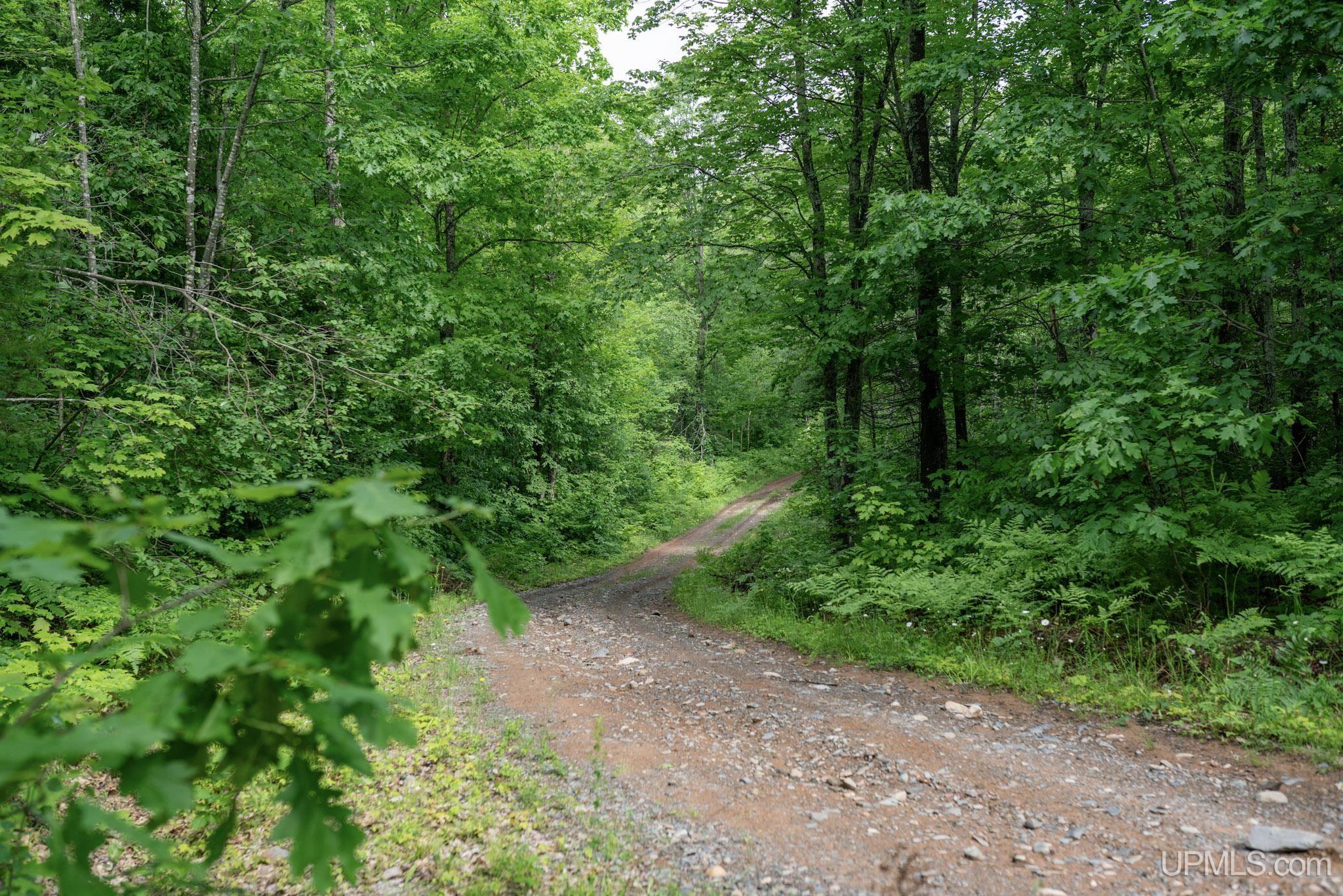 Tbd Tbd County Road Ishpeming, MI 49849 - Photo 1 of 24