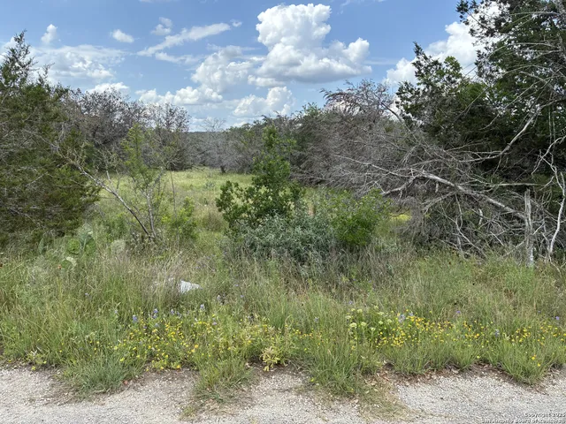 a view of a city and lush green forest