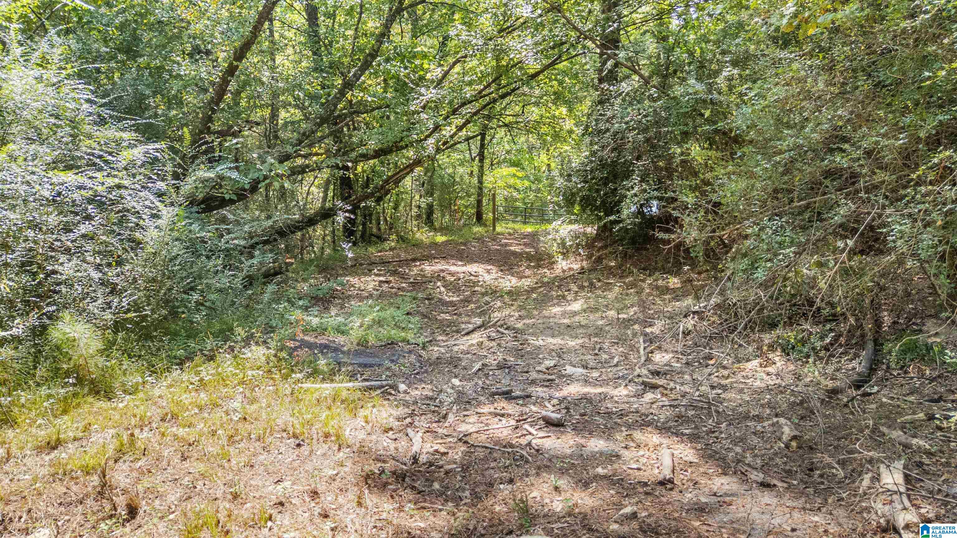4339 Pine Ridge Road, Unit 1 Mount Olive, AL 35117 - Photo 22 of 34