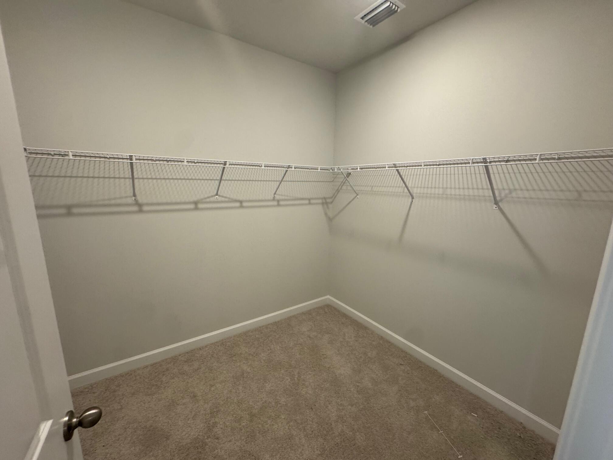3031 Macaron Court Ravenel, SC 29470 - Photo 10 of 15 103 Prim closet