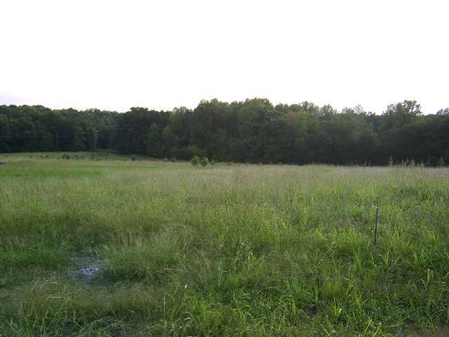 220 Wilkins Road Campobello, SC 29322 - Photo 1 of 1