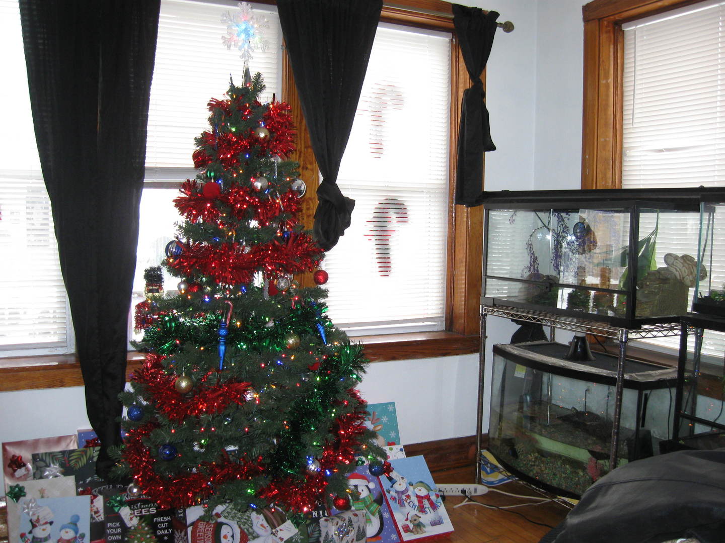 2553 West 45th Street Chicago, IL 60632 - Photo 2 of 15 view of living room with furniture and a potted plant