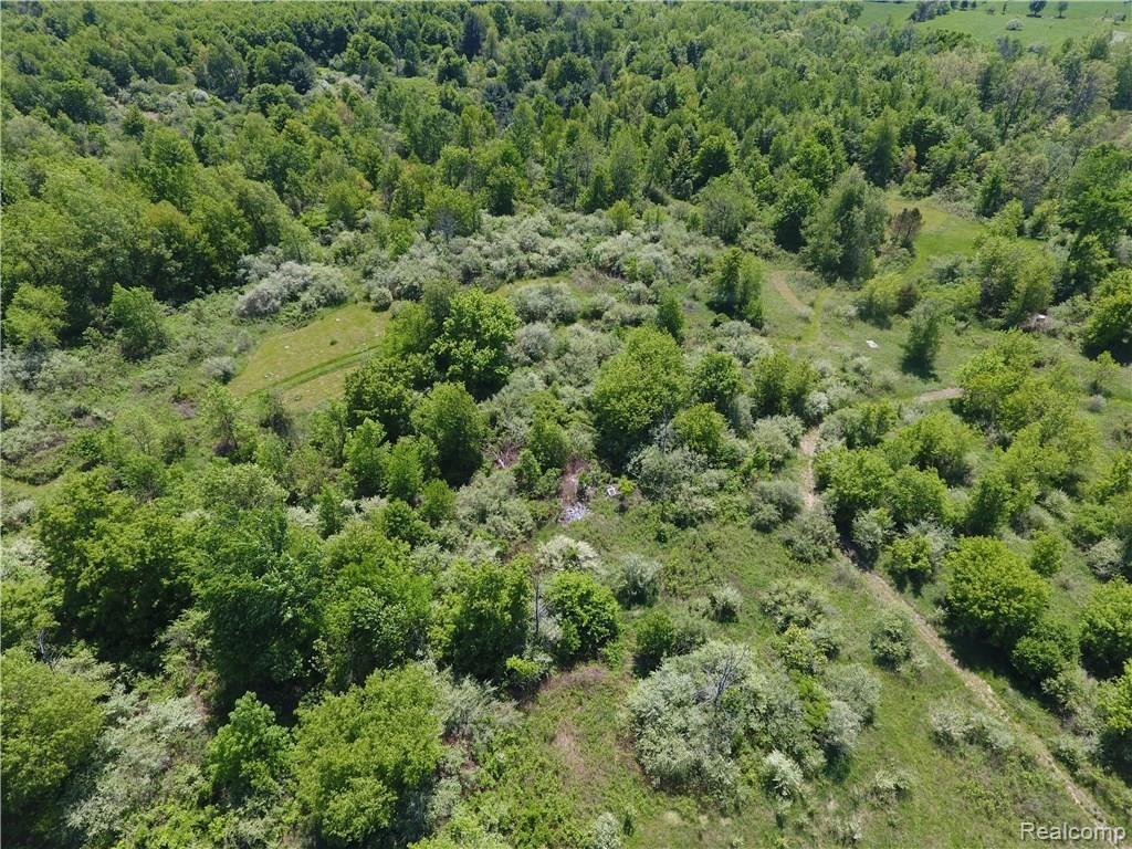 Vl Slattery Road Attica, MI 48412 - Photo 15 of 21