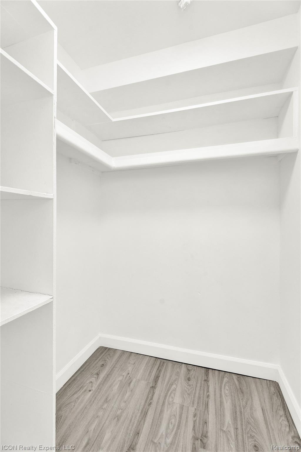 18400 Lahser Road Detroit, MI 48219 - Photo 16 of 22 Spacious closet with light wood-style floors
