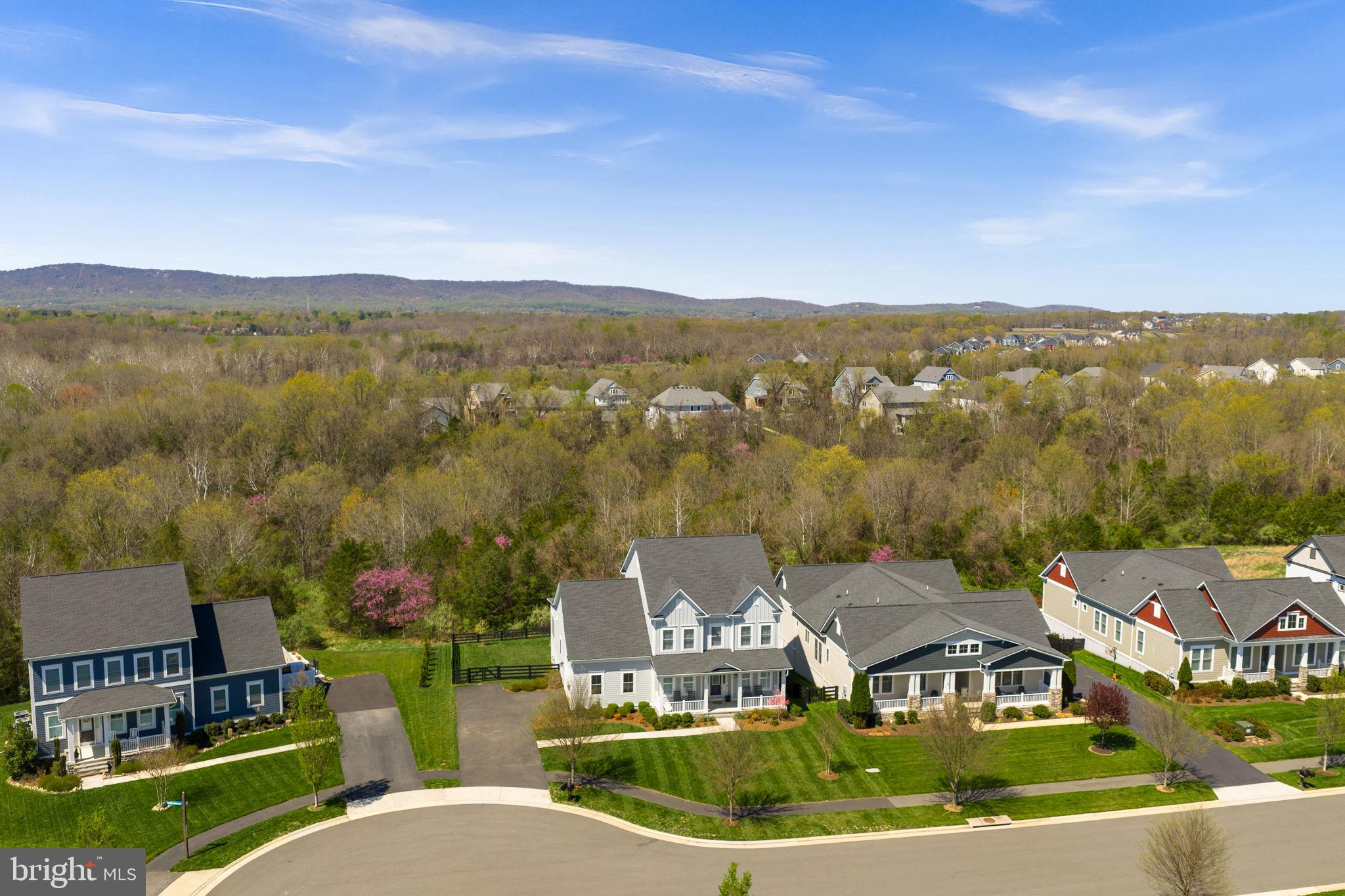 25959 Cullen Run Place Aldie, VA 20105 - Photo 75 of 99