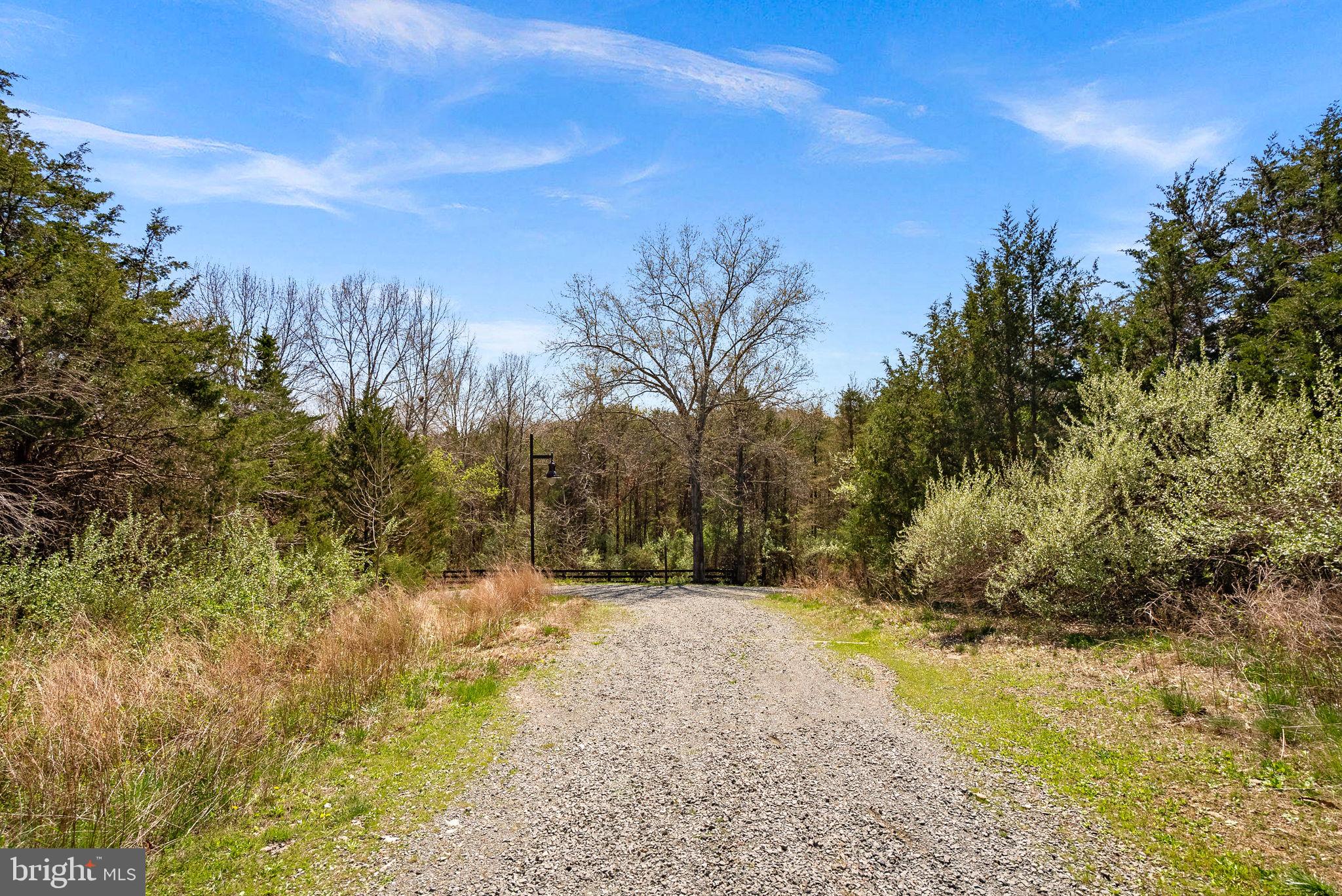 25959 Cullen Run Place Aldie, VA 20105 - Photo 83 of 99