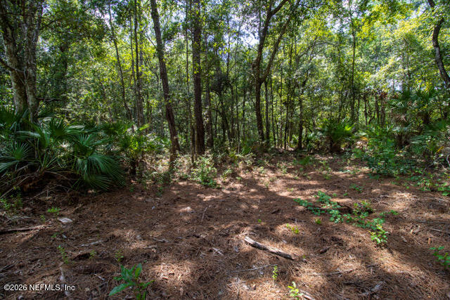 4406 Lori Loop Road Keystone Heights, FL 32656 - Photo 3 of 13 Keystone -14