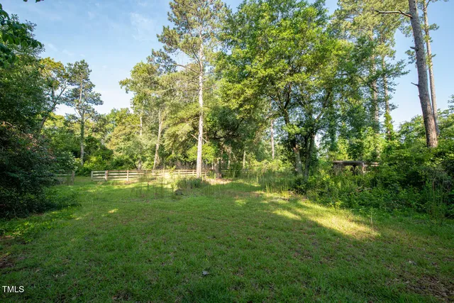 a view of yard with green space