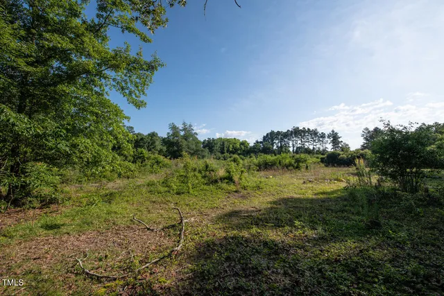 a view of a lake with a city