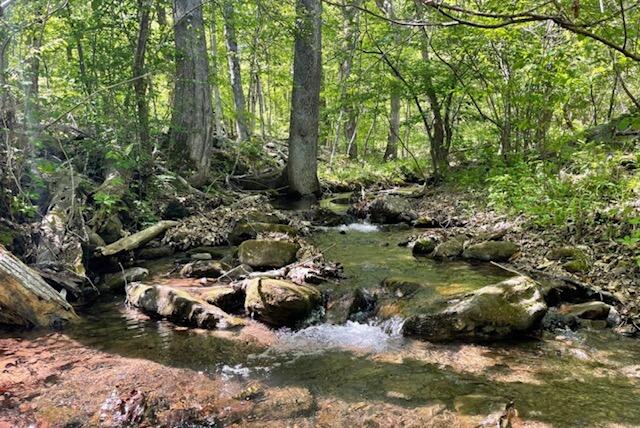 Lot 9 Rebel Ridge Drive New Castle, VA 24127 - Photo 5 of 7 IMG_4344