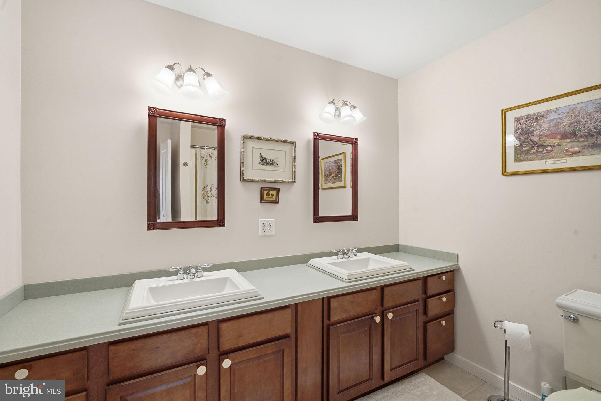 26226 Langs Landing Road Oxford, MD 21654 - Photo 29 of 48 a bathroom with a granite countertop sink mirror and toilet
