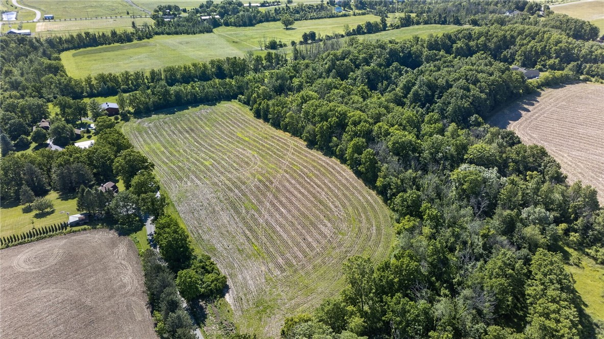 Cramer Road Canandaigua, NY 14424 - Photo 43 of 47
