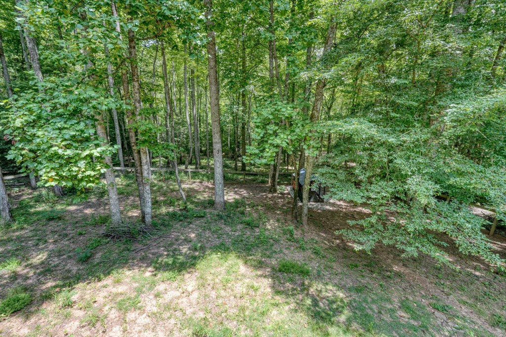 550 Watson Road Epworth, GA 30541 - Photo 53 of 63 a view of outdoor space and green space