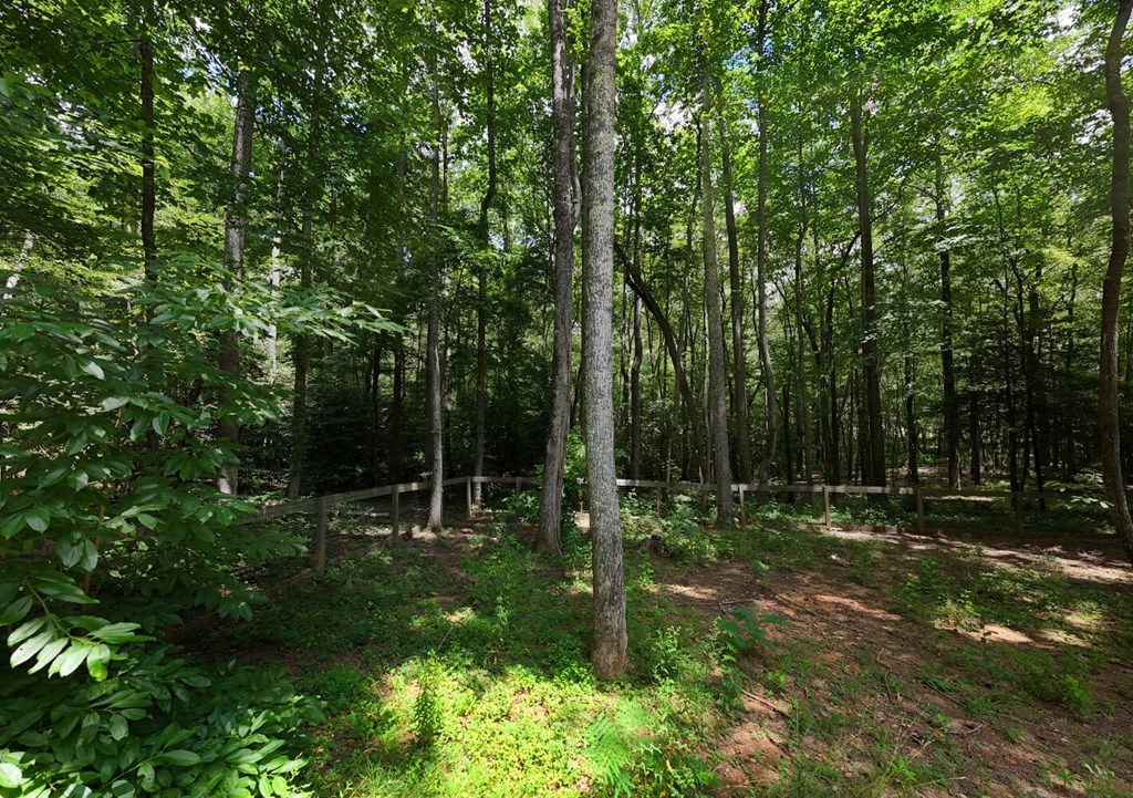 550 Watson Road Epworth, GA 30541 - Photo 55 of 63 a view of outdoor space with green field and trees